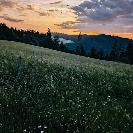 Schwarzwald- Idylle Mit Panoramablick, Pool Und Sauna Apartmán *