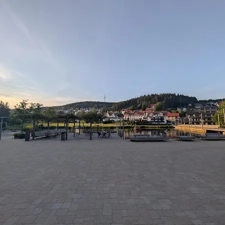 Schwarzwald- Idylle Mit Panoramablick, Pool Und Sauna
