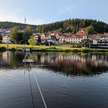 Schwarzwald- Idylle Mit Panoramablick, Pool Und Sauna * Schonach im Schwarzwald